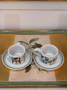 Vintage Portmeirion Botanic Garden Cup & Saucer Set of 2 Made in England
